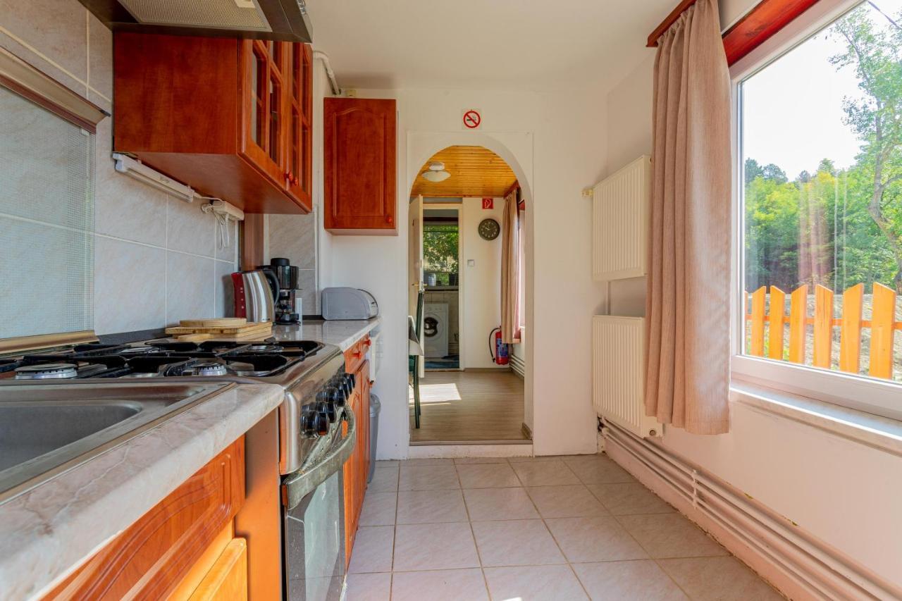 Panorama Apartmanhaz 艾斯特根 外观 照片